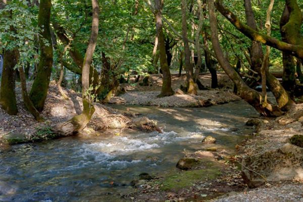 Πλανητέρο-2