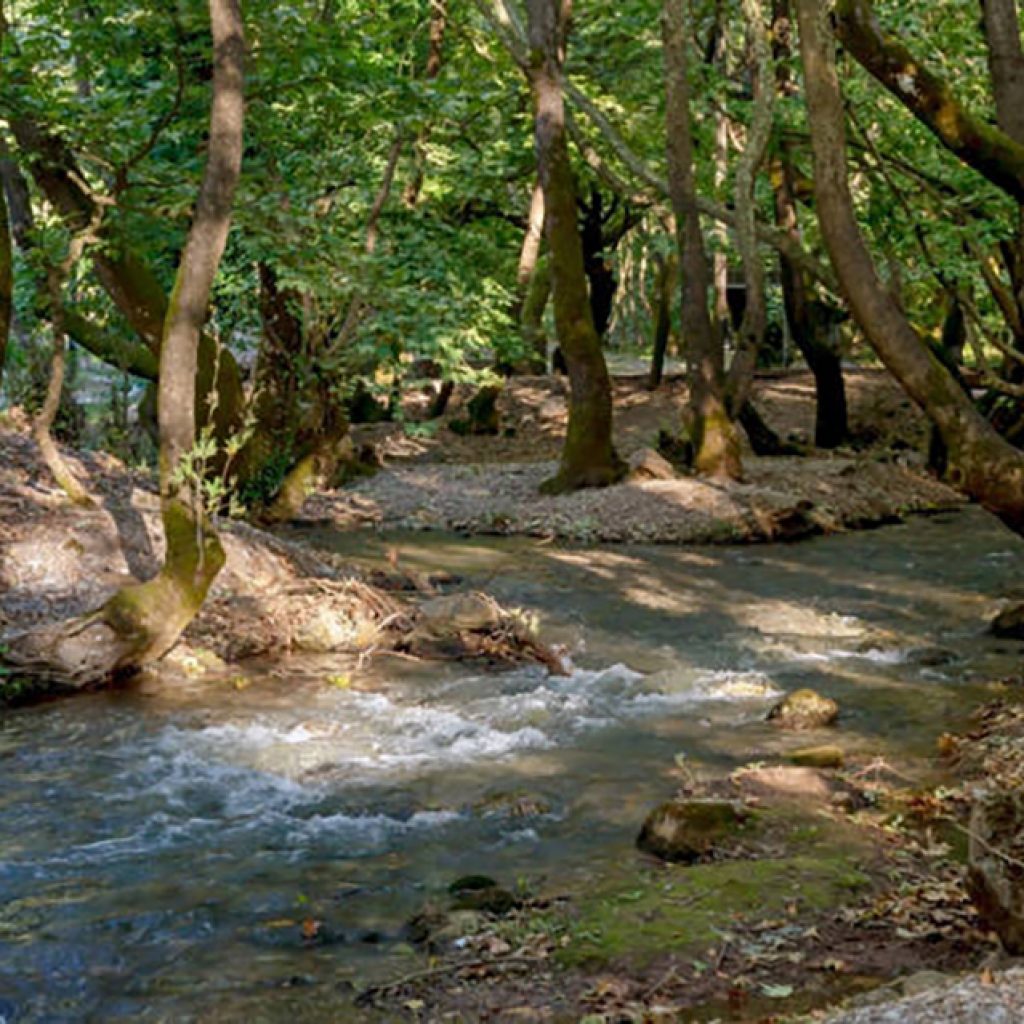 Πλανητέρο-2